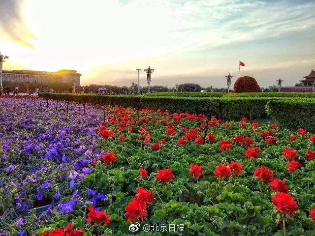 成人 视频 高清