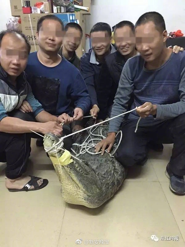 全国黄色网站