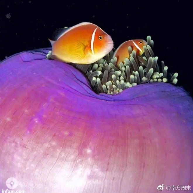 范冰冰