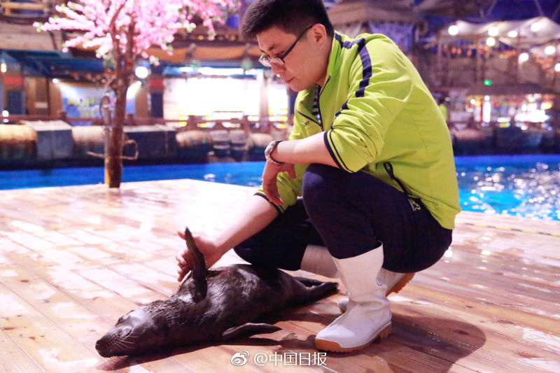 成年男人的黄色网站