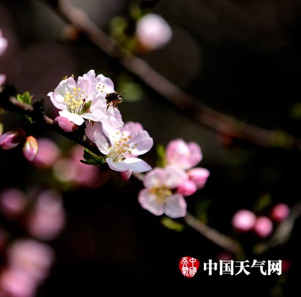 免费黄色视频精品一
