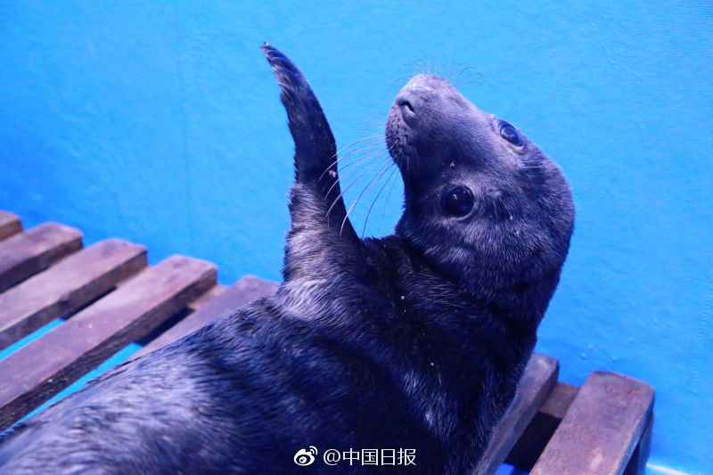 91无码