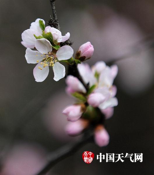 国产野摸私拍一区二区