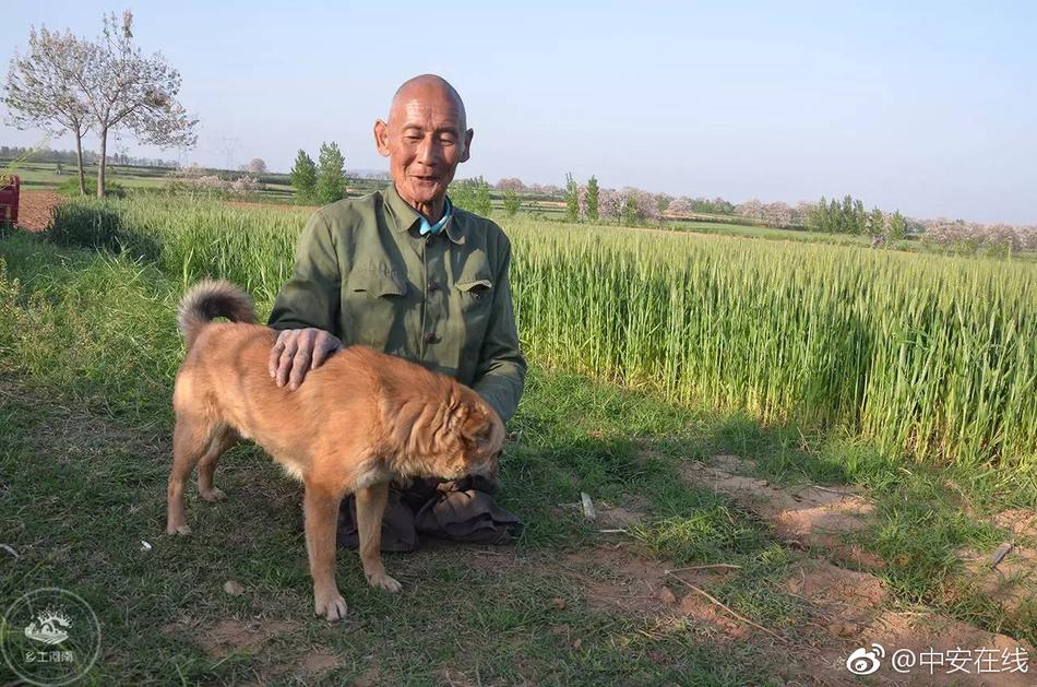 毛片免费视频