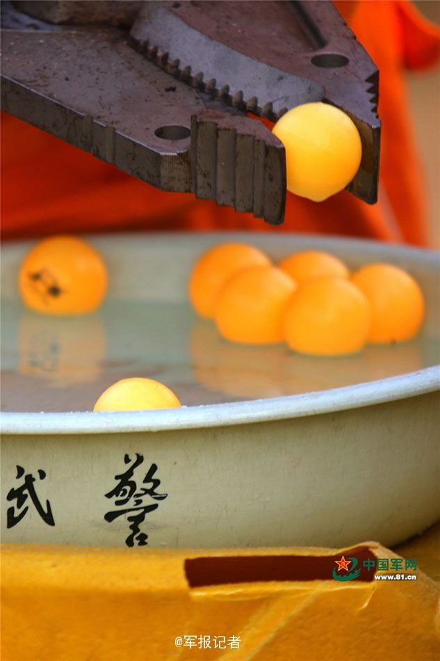 欧美精品乱伦