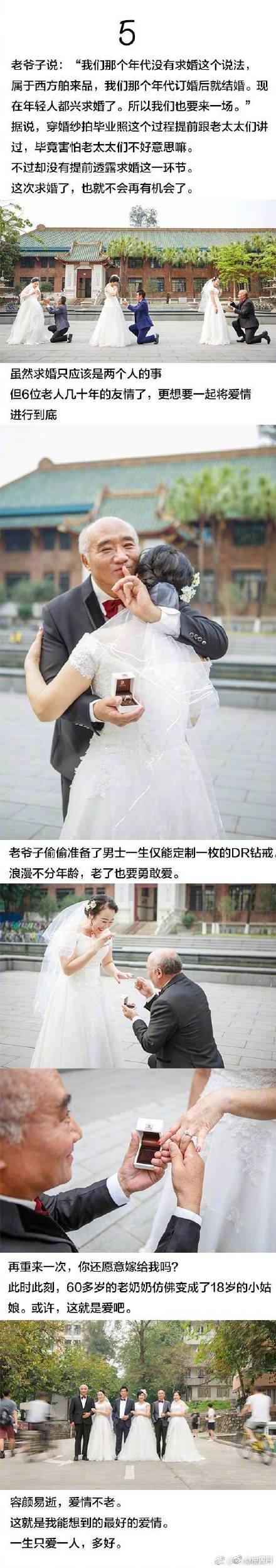 松视