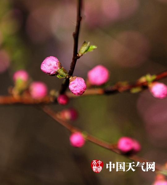女性扒开 看个够直播