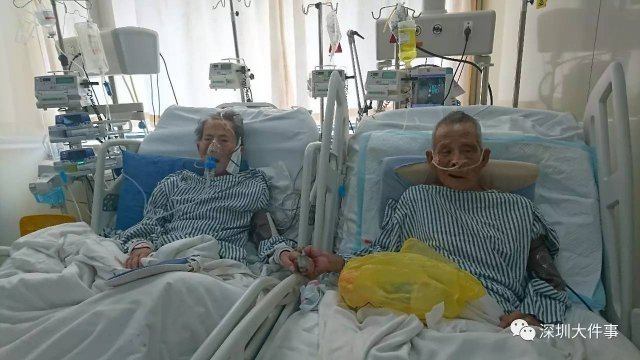 色情 影片 免费 看