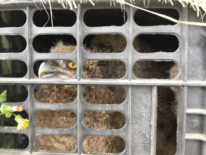 中国熟妇骚逼