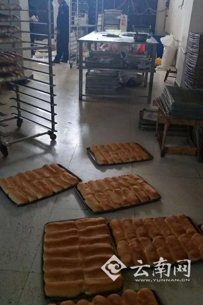 精品91 海角乱