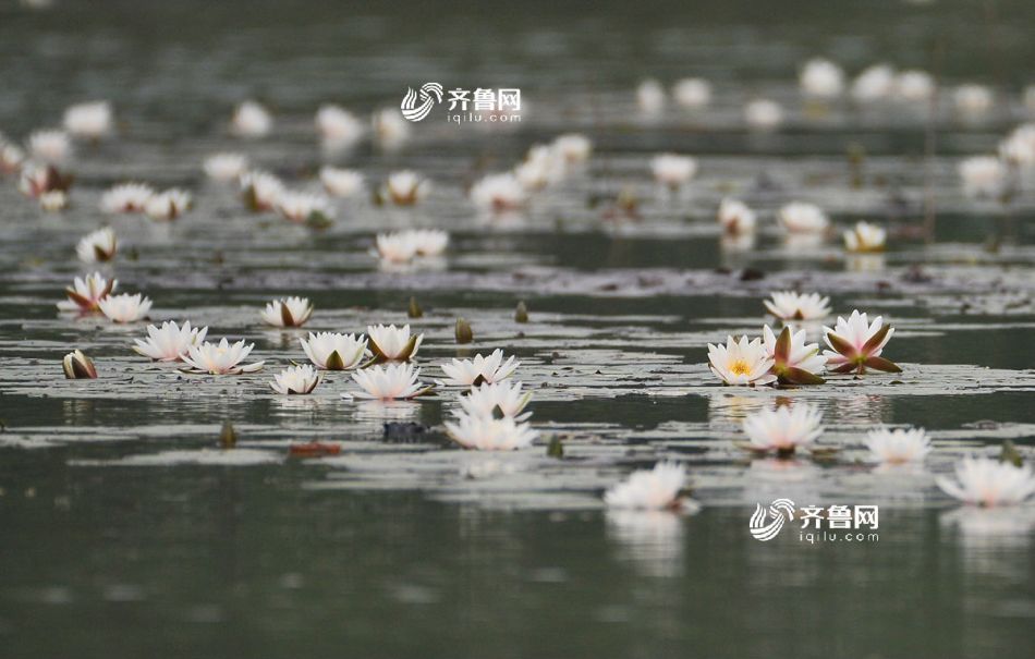 大奶自慰