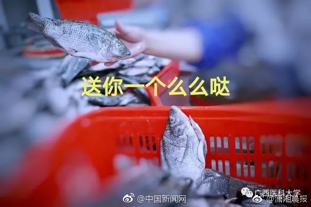 中国无套毛片学生妹女