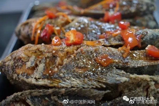 肥婆和肥婆比逼另类视频