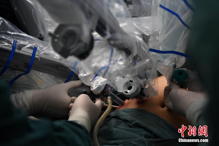 免费网站成人 视频两年半