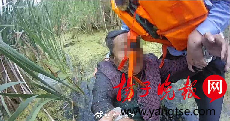 免费看一级片