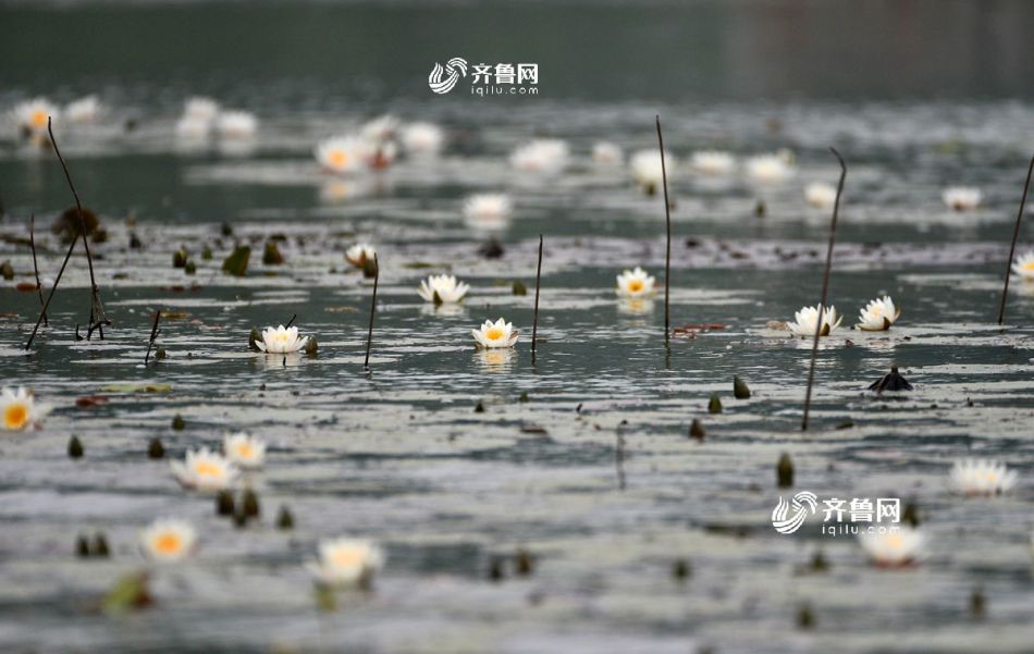 酷客影院欲求不满人妻