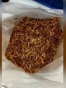 97成人做爰A片无遮挡直播