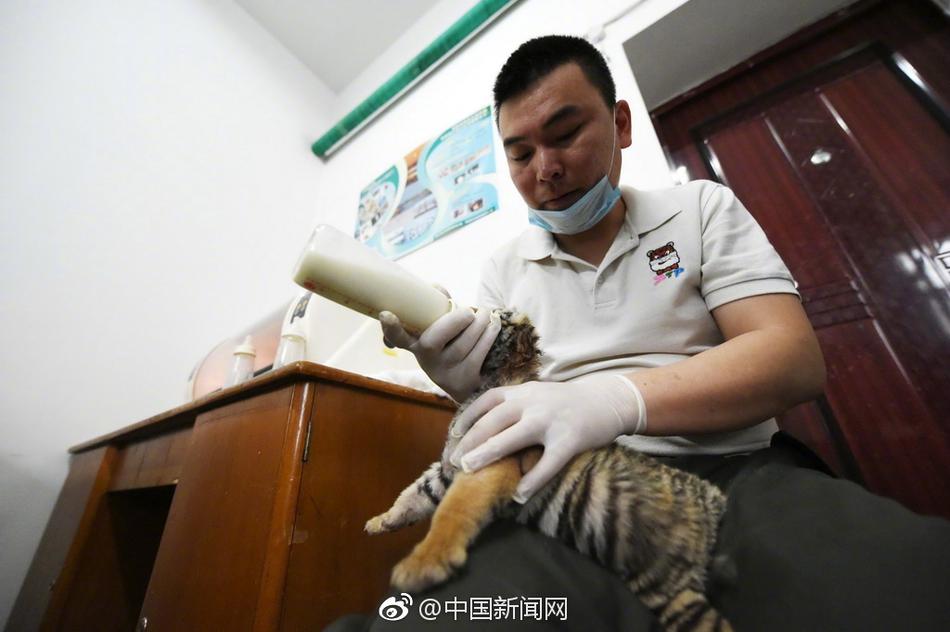 特黄视频在线免费网址
