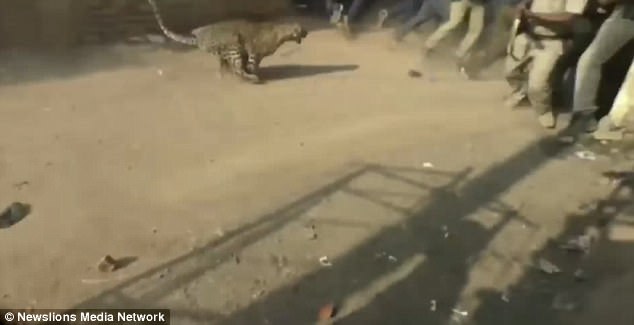 中国台湾名模三级黄色电影