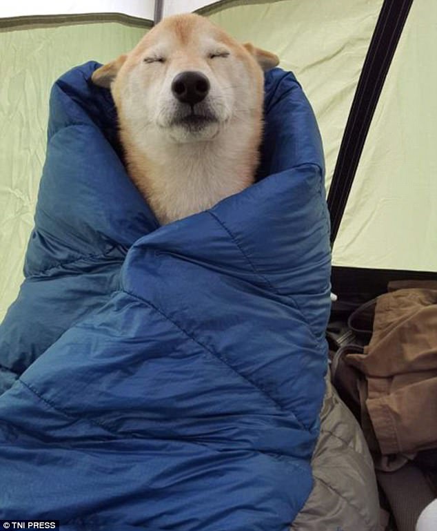日韩午夜