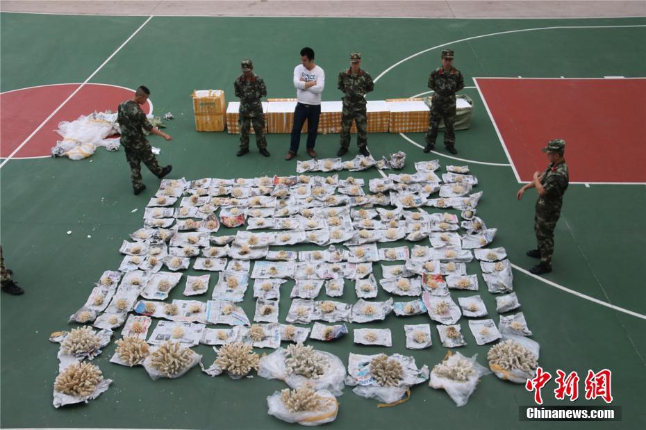 国产精品秘 一区二区入口九绯色