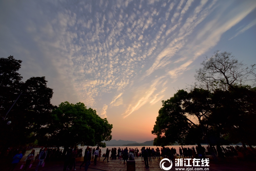 午夜毛片