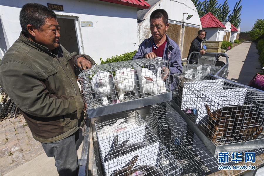 精品亚洲一区二区三区四区五区高