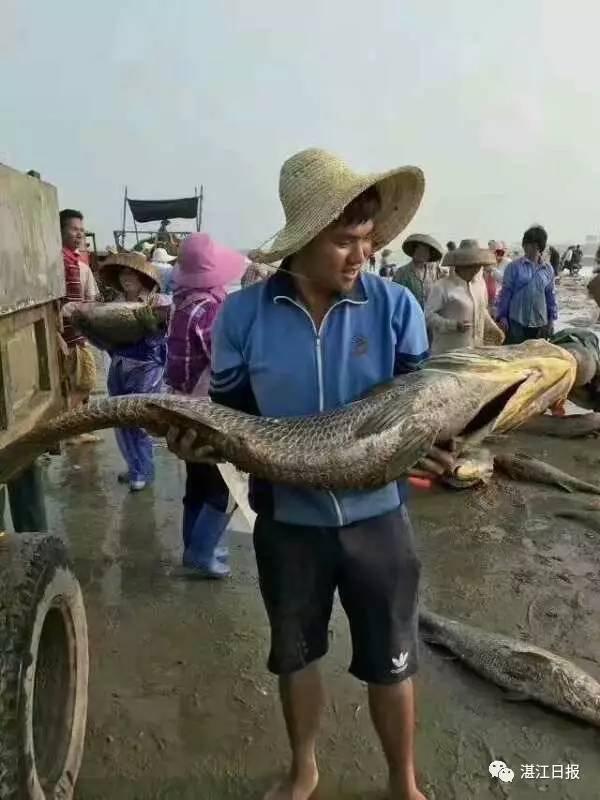 国产婷婷
