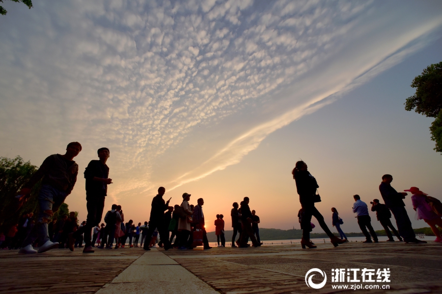 春雨直播全婐APP免费