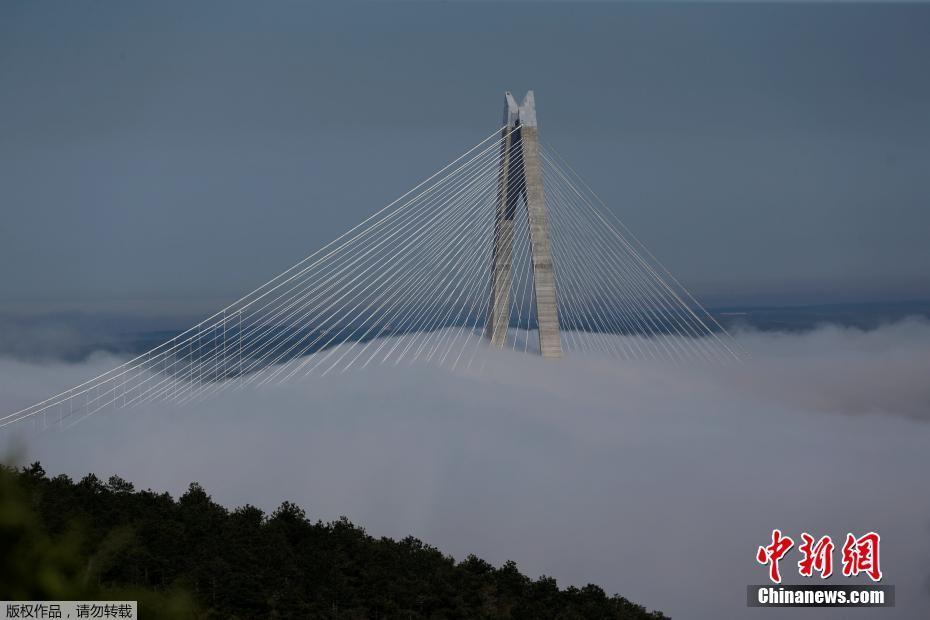 污片免费在线看