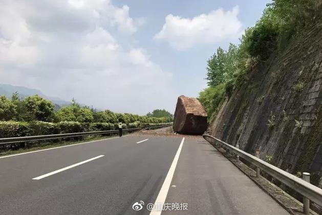 欧美第一黄网免费网站