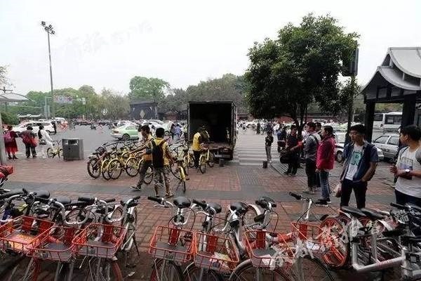 18 成人 网站