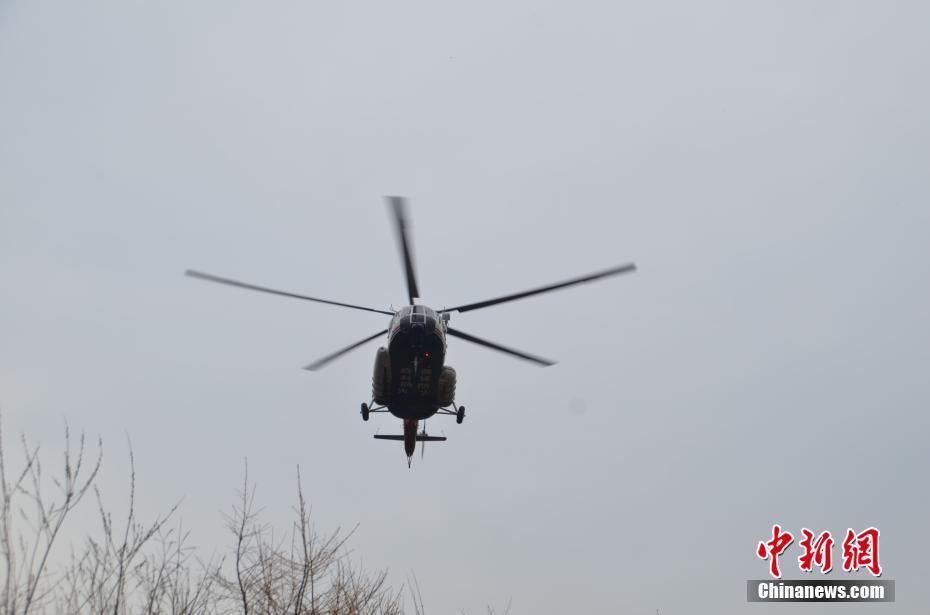 免费操逼软件