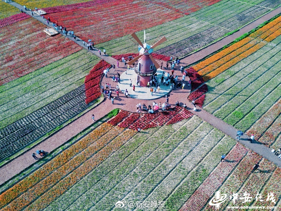 王雨纯