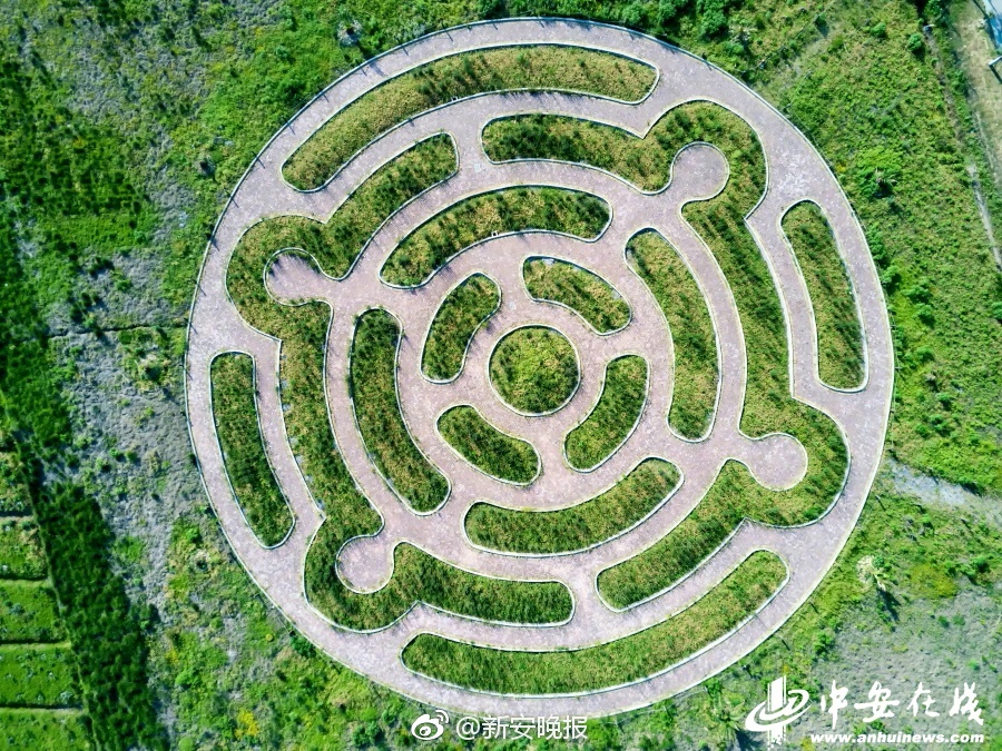美国 裸聊