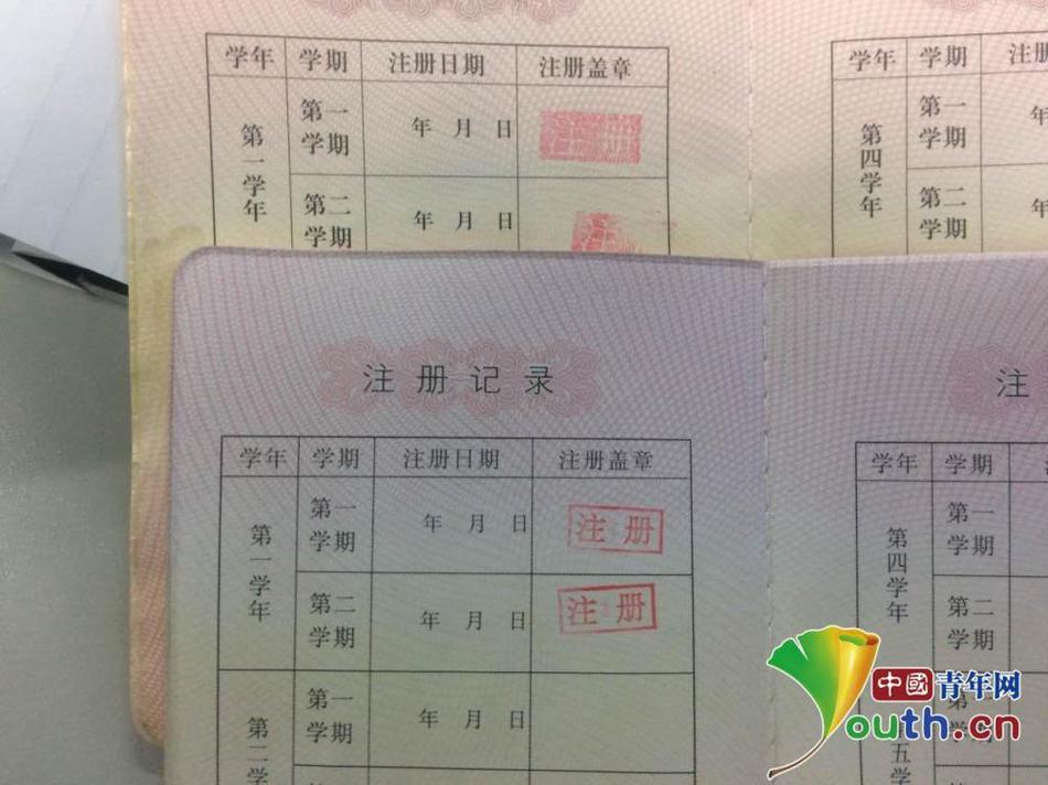 女处被破Ww免费完整版