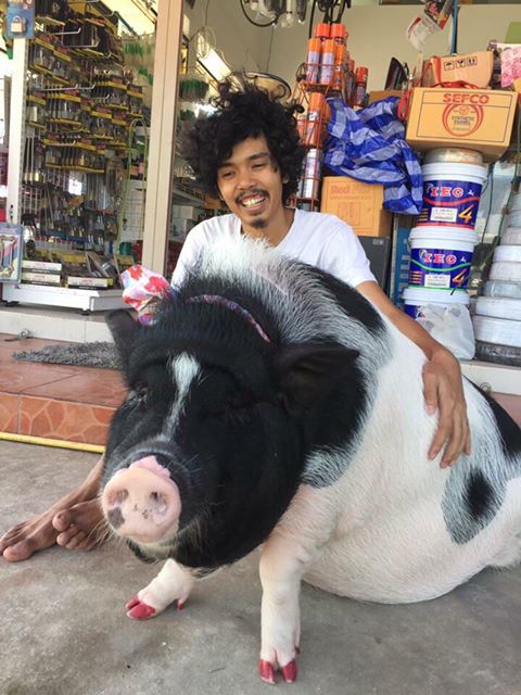 免费 色情 动漫
