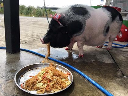 日本高H无遮肉欲动漫