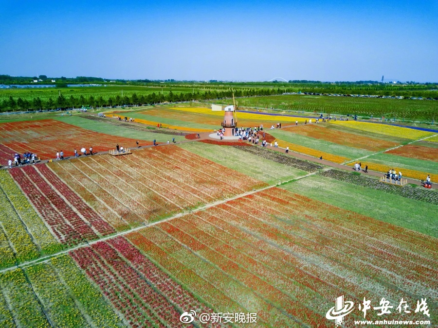 吉崎直緒