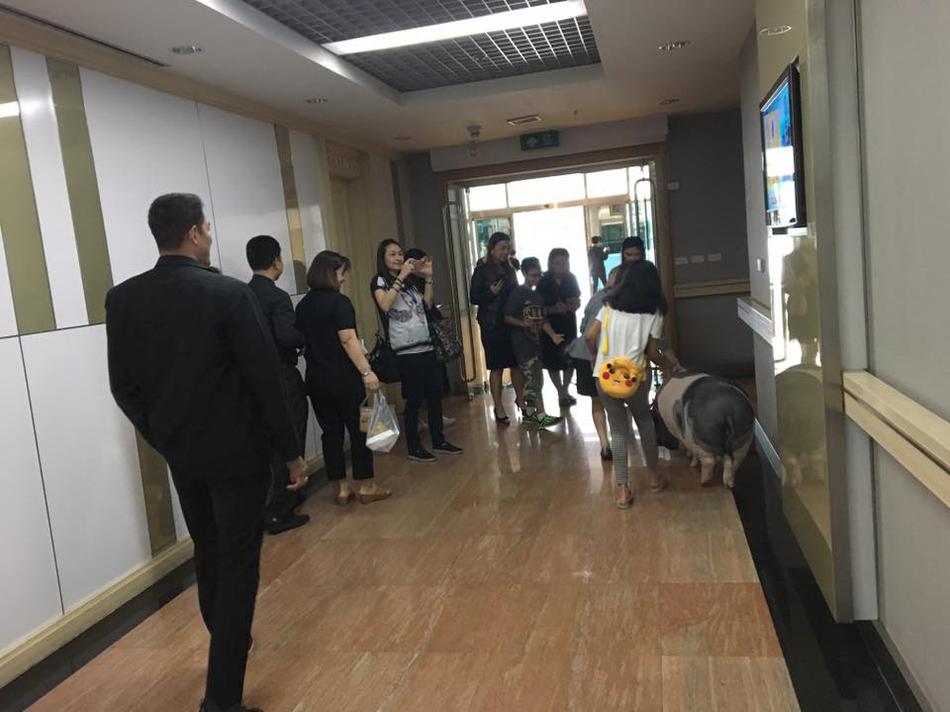 韩国欧巴操美女