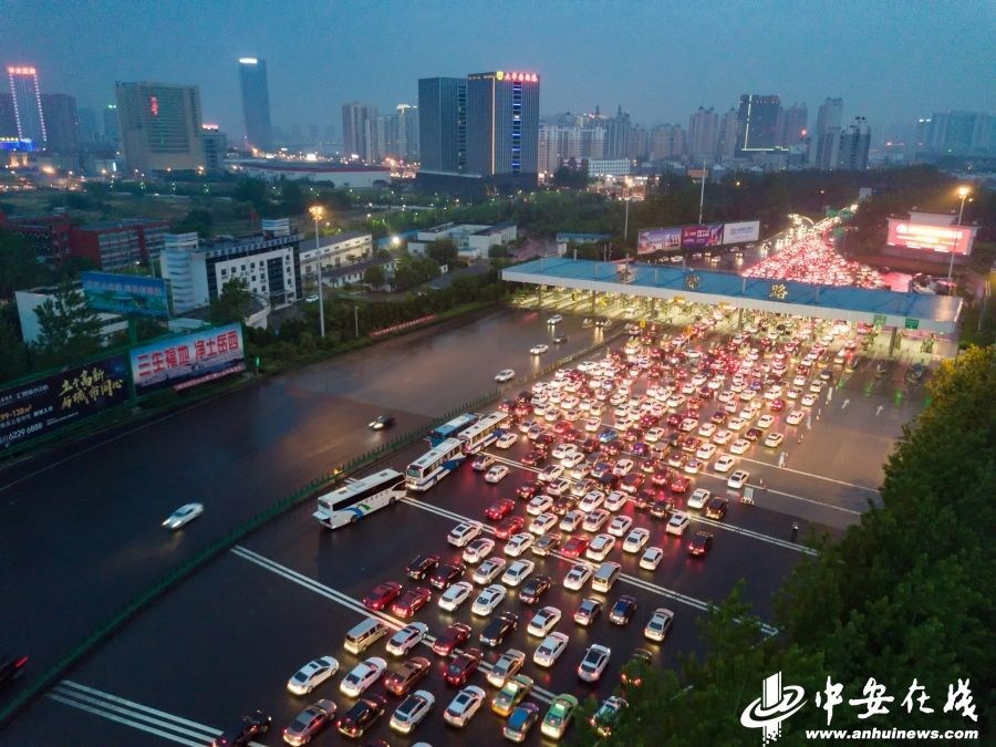 请搜国产免费操逼三级黄片