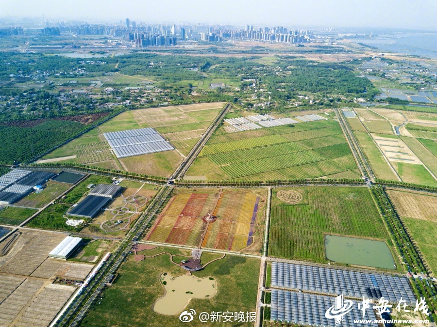 卡通版三级片内衣办公室