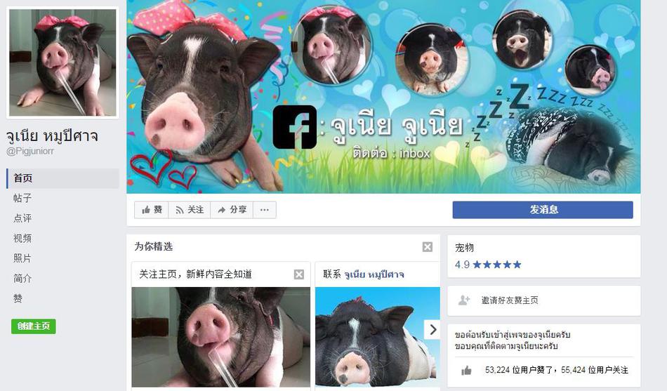 黄色 Av 在线 观看