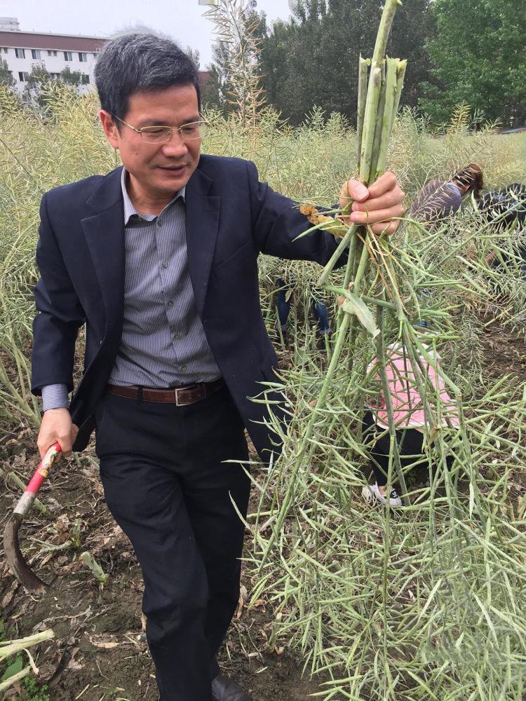 爸爸叫我cai妈妈小新是哪里人