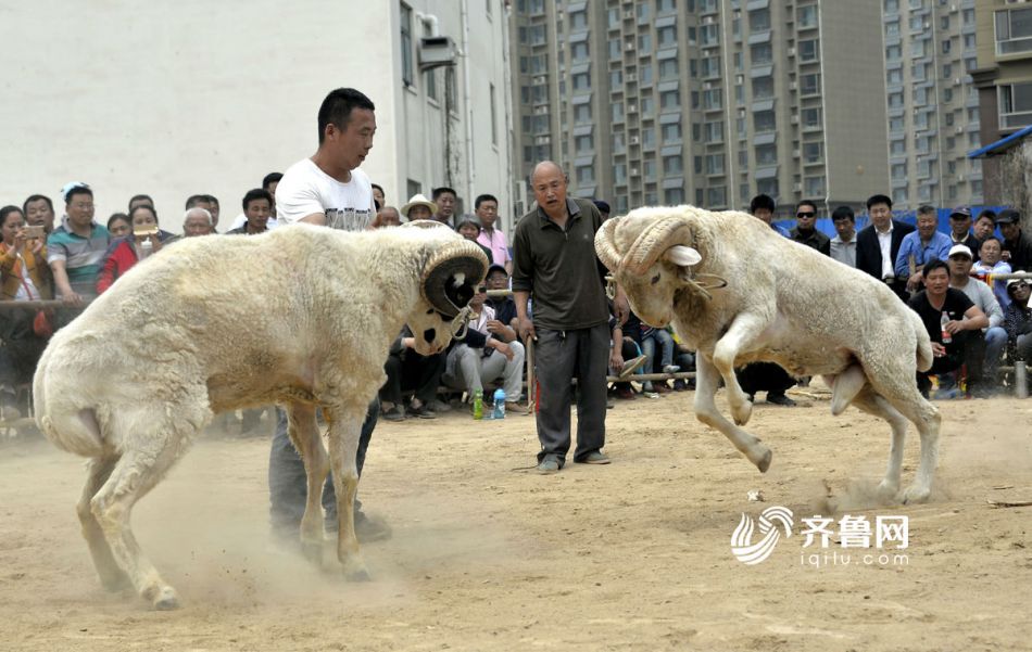 50秒免费黄色视频
