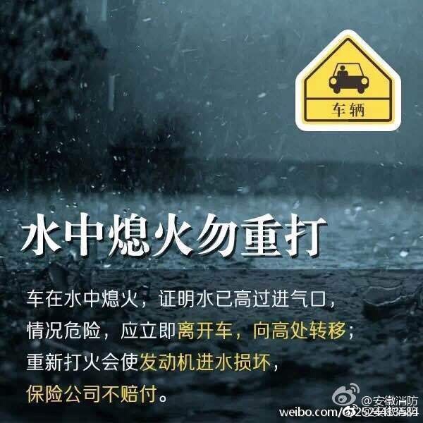 義妹