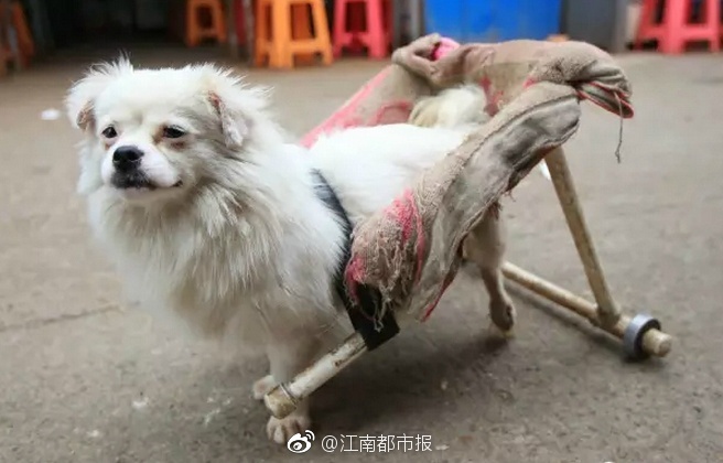 公交车上性Xxxxssss