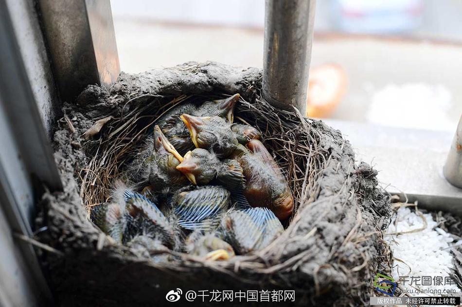 精品99国产麻豆前女友