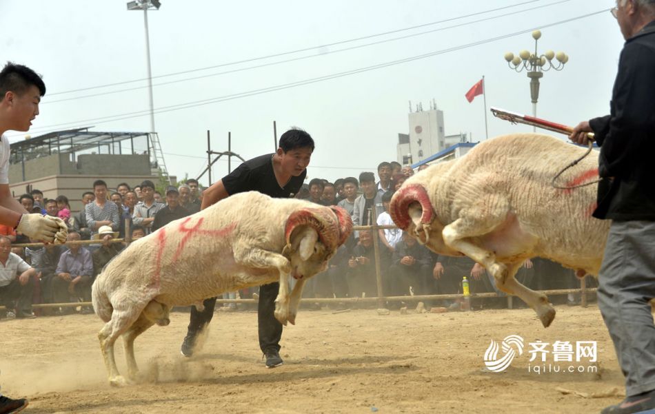 1000部啪啪