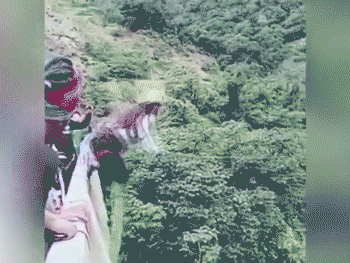 雙性器